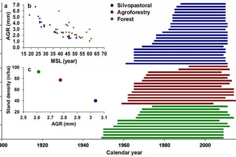 The Factors That Affect the Average Relationship Length