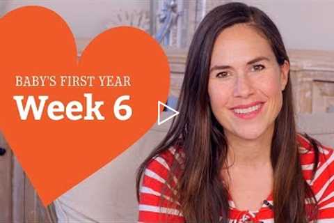 6 Week Old Baby - Your Baby’s Development, Week by Week