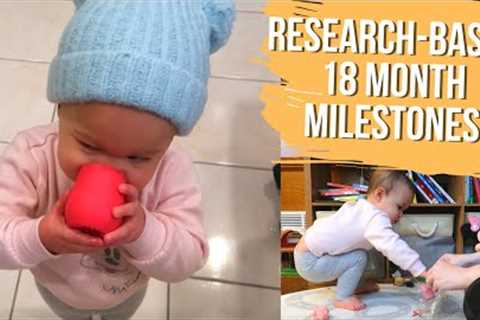 18 MONTH TODDLER DEVELOPMENT MILESTONES | Using Ages and Stages(ASQ3) to Measure Growth &..