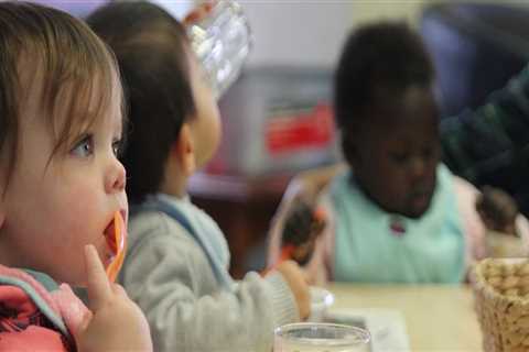 Nutrition Programs for Child Care Providers in Central New York: A Comprehensive Guide